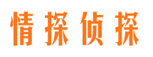 汤旺河市调查公司